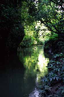 Waitomo Caves, New Zealand, Jacek Piwowarczyk, 2002