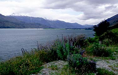 Lake Wanaka Region, New Zealand, Jacek Piwowarczyk, 2002