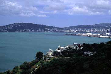 Wellington, New Zealand, Jacek Piwowarczyk, 2002