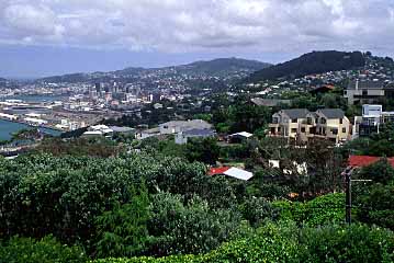 Wellington, New Zealand, Jacek Piwowarczyk, 2002