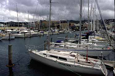 Wellington, New Zealand, Jacek Piwowarczyk, 2002