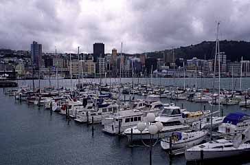 Wellington, New Zealand, Jacek Piwowarczyk, 2002