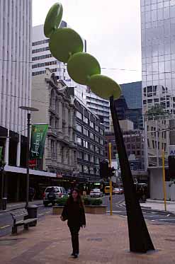 Wellington, New Zealand, Jacek Piwowarczyk, 2002