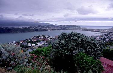 Wellington, New Zealand, Jacek Piwowarczyk, 2002