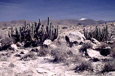 Altiplano, Peru, Jacek Piwowarczyk, 1998