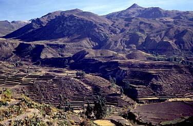 Canyon Colca, Peru, Jacek Piwowarczyk, 1998