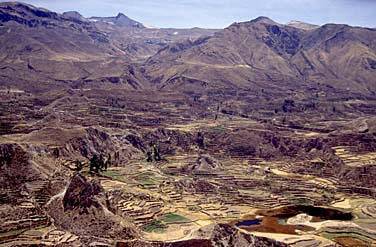 Canyon Colca, Peru, Jacek Piwowarczyk, 1998