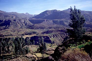 Canyon Colca, Peru, Jacek Piwowarczyk, 1998