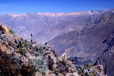 Canyon Colca, Peru, Jacek Piwowarczyk, 1998