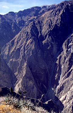 Canyon Colca, Peru, Jacek Piwowarczyk, 1998