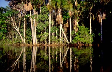 Lake Sasdoval, Peru, Jacek Piwowarczyk, 1998