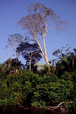 Lake Sandoval, Peru, Jacek Piwowarczyk, 1998