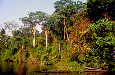 Lake Sandoval, Peru, Jacek Piwowarczyk, 1998