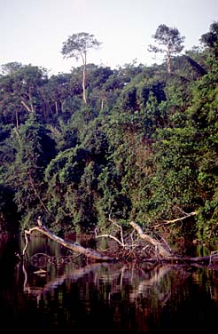 Lake Sandoval, Peru, Jacek Piwowarczyk, 1998