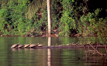 Lake Sandoval, Peru, Jacek Piwowarczyk, 1998