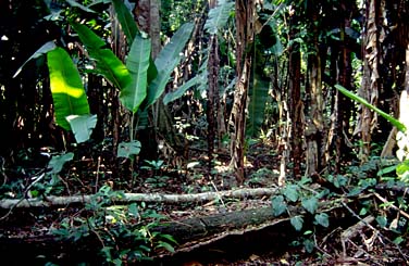 Lake Sasdoval, Peru, Jacek Piwowarczyk, 1998