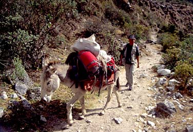 Santa Cruz Valley, Coridllera Blanca, Peru, Jacek Piwowarczyk, 1998