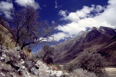 Santa Cruz Valley, Cordillera Blanca, Peru, Jacek Piwowarczyk, 1998