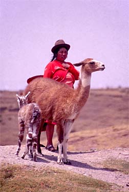 Tambo Machay, Cusco, Jacek Piwowarczyk, 1998