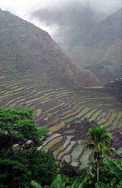 Batad, Luzon, Philippunes, Jacek Piwowarczyk 1993