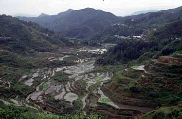 Banaue, Luzon, Philippunes, Jacek Piwowarczyk 1993