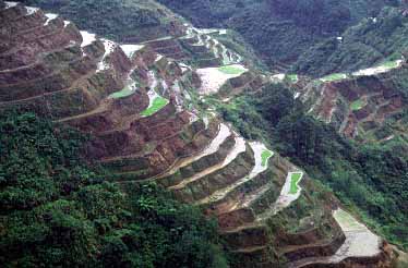 Banaue, Luzon, Philippunes, Jacek Piwowarczyk 1993