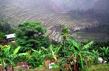 Batad, Luzon, Philippunes, Jacek Piwowarczyk 1993