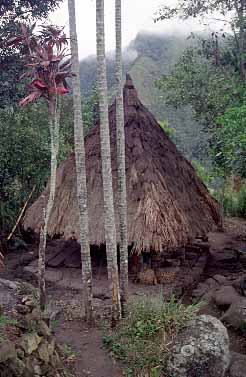 Batad, Luzon, Philippunes, Jacek Piwowarczyk 1993