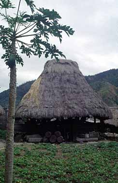 Bontoc, Luzon, Philippunes, Jacek Piwowarczyk 1993