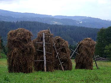 Istebna, Beskid Slaski, Poland, Jacek Piwowarczyk, 2008