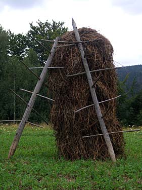 Istebna, Beskid Slaski, Poland, Jacek Piwowarczyk, 2008