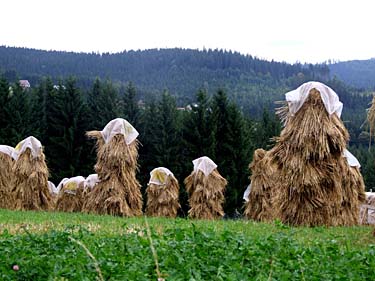 Istebna, Beskid Slaski, Poland, Jacek Piwowarczyk, 2008