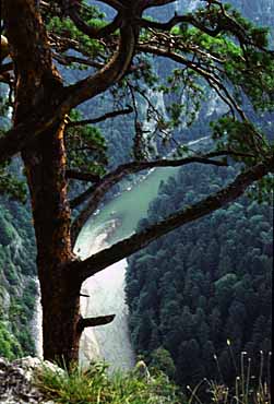 Pieniny, Poland, Jacek Piwowarczyk