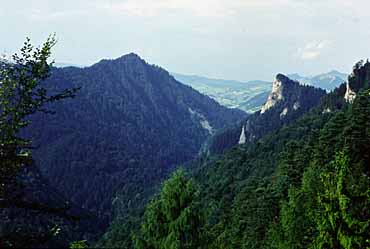 Pieniny, Poland, Jacek Piwowarczyk