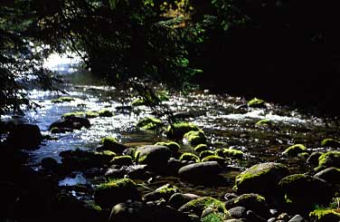 Dolina Chocholowska, Tatra Mountains, Poland, Jacek Piwowarczyk, 2005