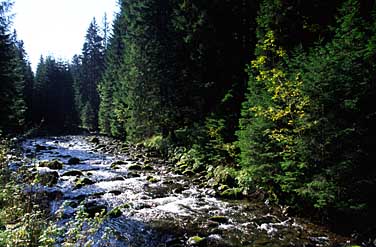 Dolina Chocholowska, Tatra Mountains, Poland, Jacek Piwowarczyk, 2005