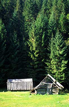 Dolina Chocholowska, Tatra Mountains, Poland, Jacek Piwowarczyk, 2005