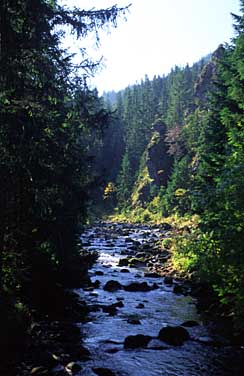 Dolina Chocholowska, Tatra Mountains, Poland, Jacek Piwowarczyk, 2005