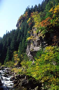 Dolina Chocholowska, Tatra Mountains, Poland, Jacek Piwowarczyk, 2005