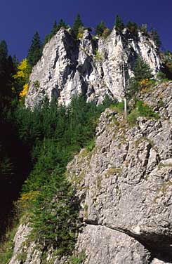 Dolina Chocholowska, Tatra Mountains, Poland, Jacek Piwowarczyk, 2005