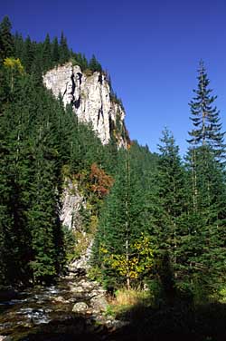 Dolina Chocholowska, Tatra Mountains, Poland, Jacek Piwowarczyk, 2005