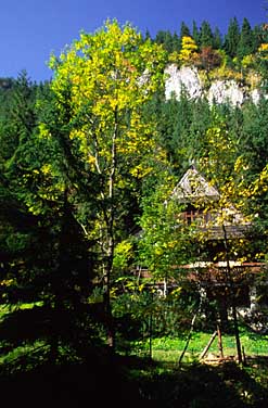 Dolina Chocholowska, Tatra Mountains, Poland, Jacek Piwowarczyk, 2005