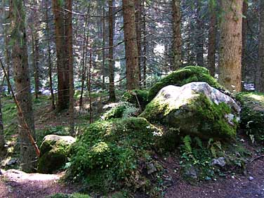 Dolina Chocholowska, Tatra Mountains, Poland, Jacek Piwowarczyk, 2005