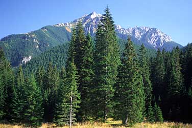 Dolina Chocholowska, Tatra Mountains, Poland, Jacek Piwowarczyk, 2005