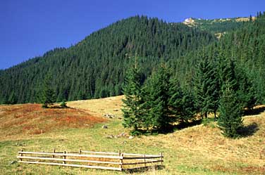 Dolina Chocholowska, Tatra Mountains, Poland, Jacek Piwowarczyk, 2005