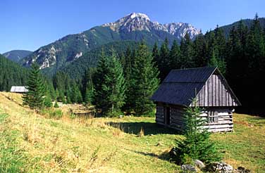 Dolina Chocholowska, Tatra Mountains, Poland, Jacek Piwowarczyk, 2005