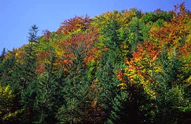 Dolina Strazyska, Tatra Mountains, Poland, Jacek Piwowarczyk, 2005