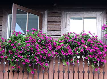 Zakopane, Poland, Jacek Piwowarczyk 2005