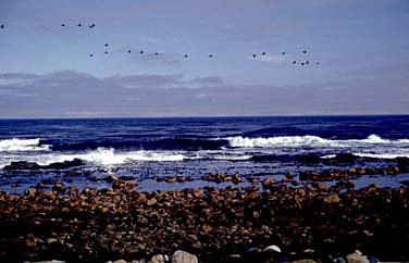 Cape of Good Hope, South Africa, Jacek Piwowarczyk, 1994