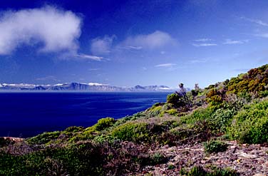 Cape of Good Hope, South Africa, Jacek Piwowarczyk, 1994